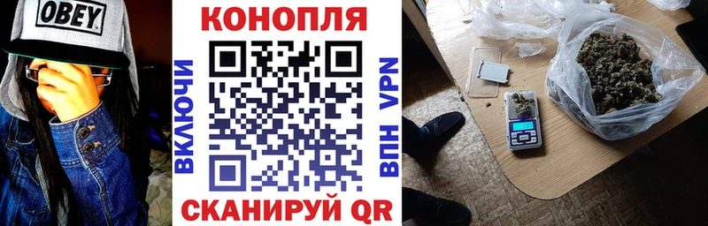 Бошки Шишки планчик  KRAKEN вход  Снежногорск  как найти закладки 
